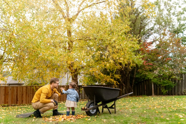 Fall yard clean up